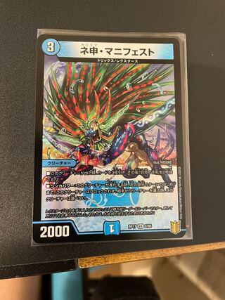 24h以内発送　ネ申・マニフェスト