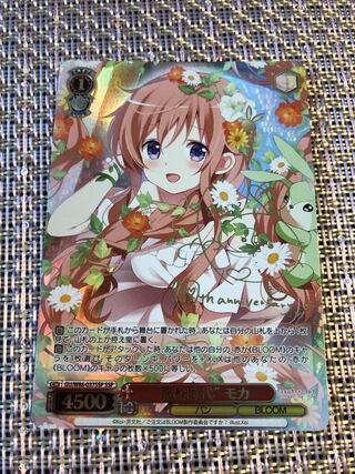 High School Age Mocha SSP