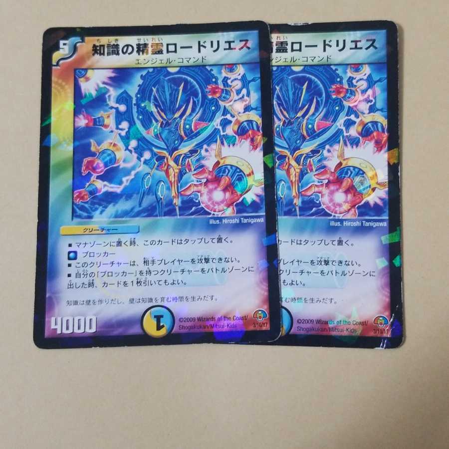 知識の精霊ロードリエス　2枚