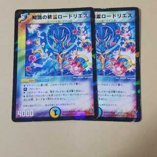 知識の精霊ロードリエス　2枚