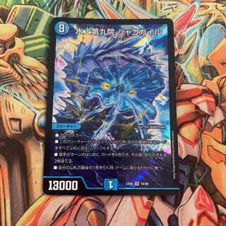 水上第九院 シャコガイル