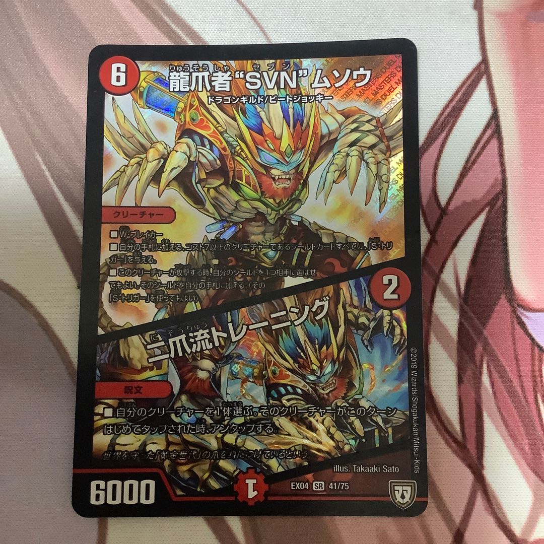 龍爪者“SVN”ムソウ|二爪流トレーニング 1枚