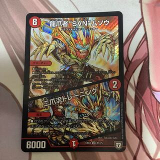 龍爪者“SVN”ムソウ｜二爪流トレーニング　1枚