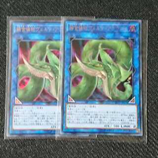 捕食植物ヴェルテ・アナコンダ 2枚セット