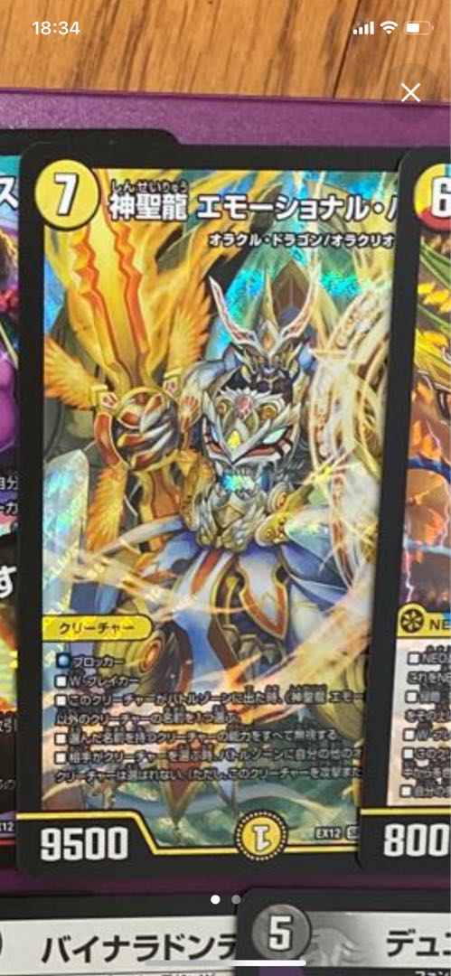 コタツにみかん様専用 エモーショナルハードコア