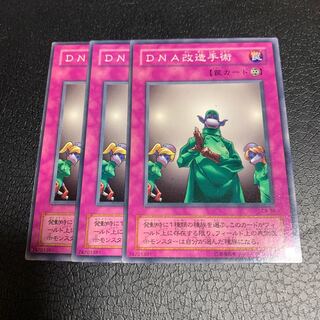 DNA改造手術 ノーマル