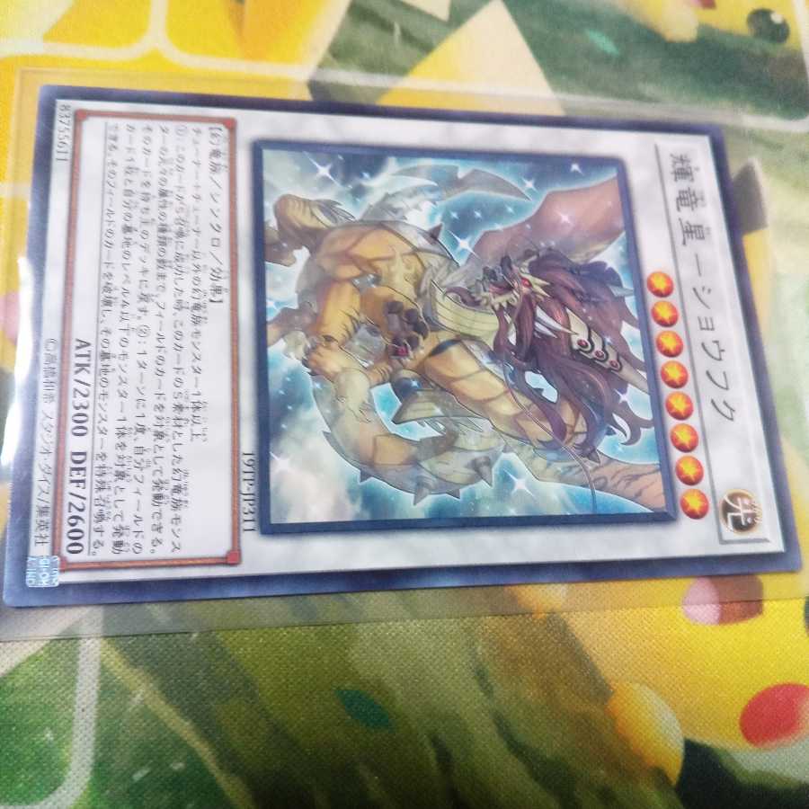 輝竜星-ショウフク ノーマル