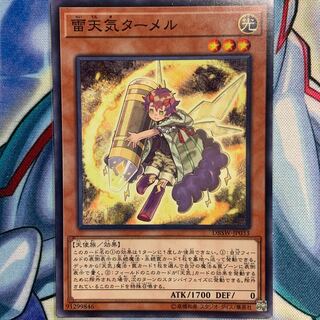 【N】雷天気ターメル 1枚 DBSW-JP033