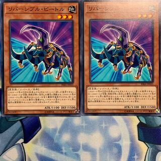 【N】リバーシブル・ビートル 2枚 RIRA-JP035