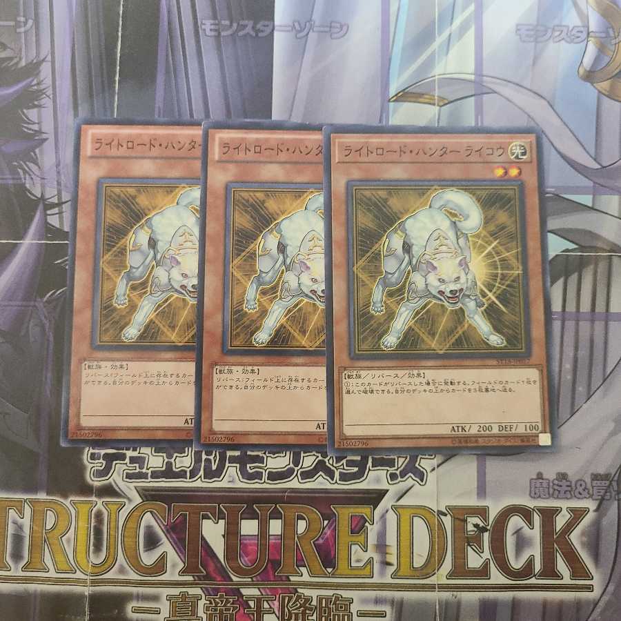 Light Road Hunter Raikou Normal 3