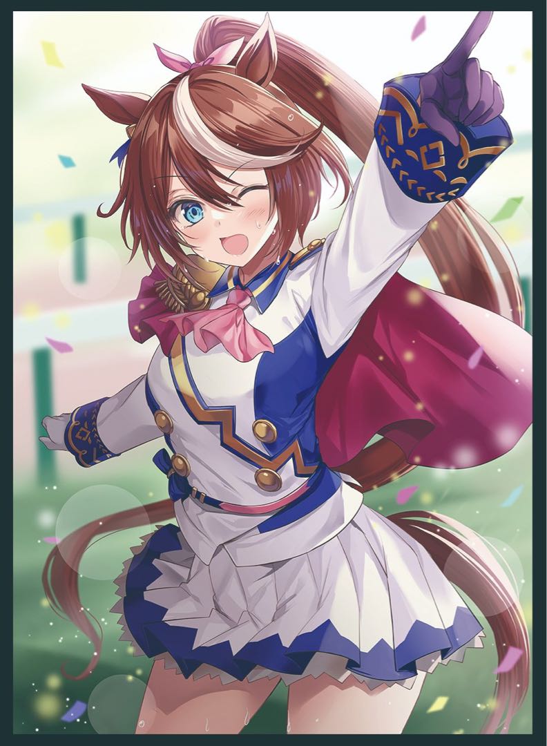 Tokai Teio Uma Musume Sleeve Frescia