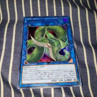 捕食植物ヴェルテ・アナコンダ ウルトラレア