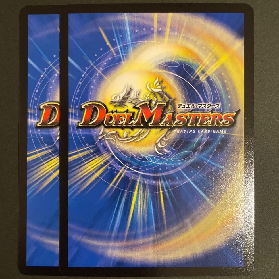 傾国美女 ファムファタァル VR 2枚セット