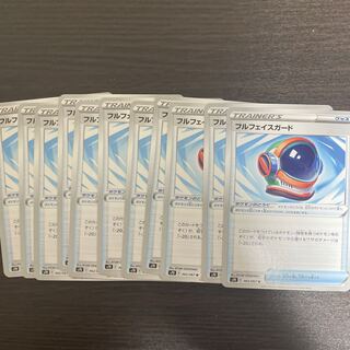 Full Face Guard U 11-piece set