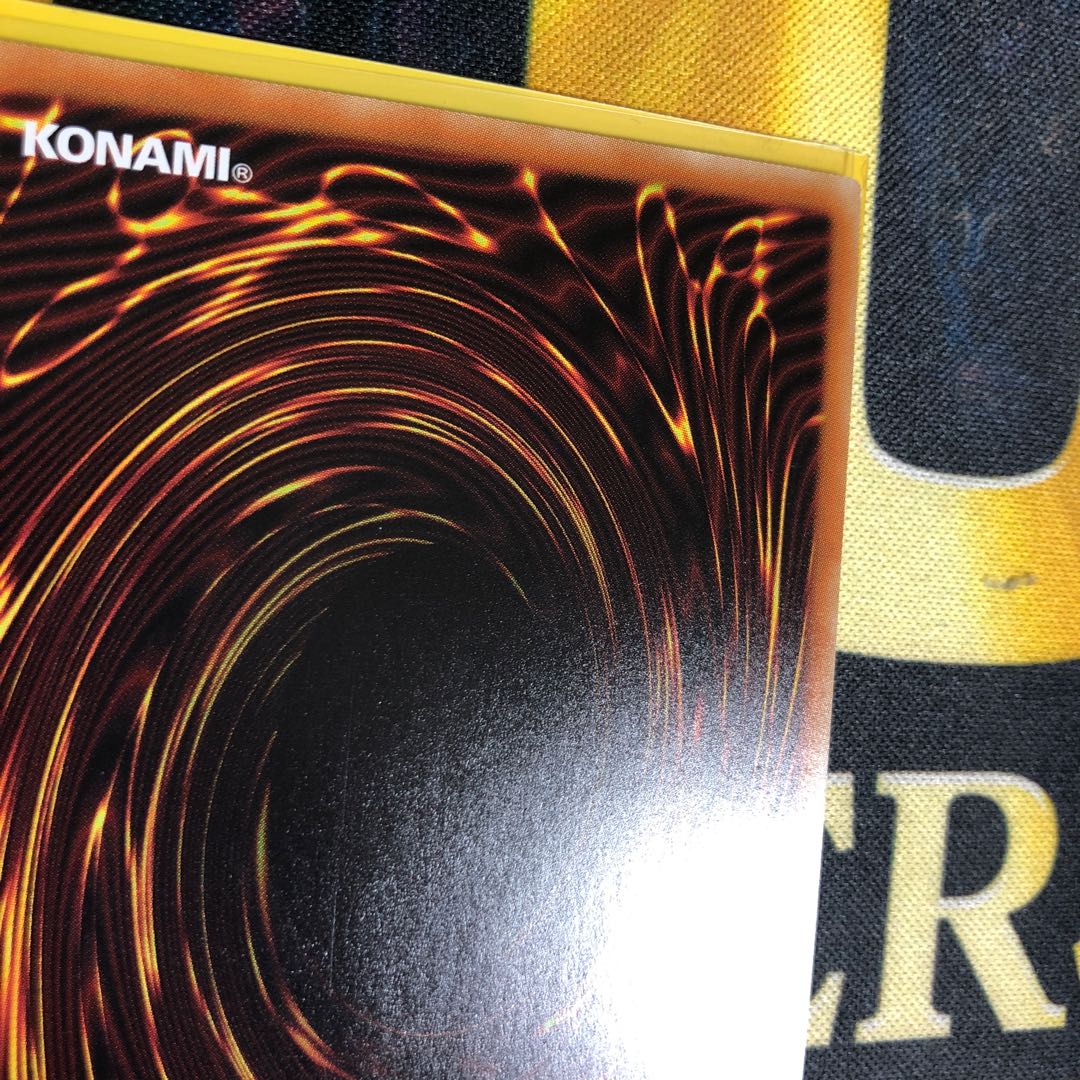 [値下げ不可]屋敷わらし