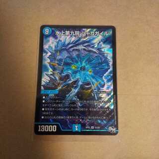 水上第九院 シャコガイル