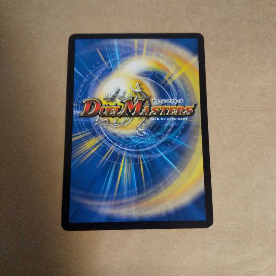 水上第九院 シャコガイル