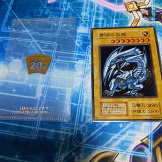 青眼の白龍　ステンレス