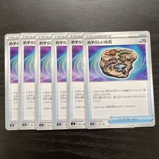 めずらしい化石　6枚