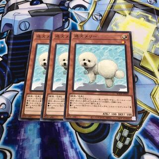 迷犬メリー ノーマルレア　Hulu 421