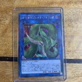 捕食植物ヴェルテアナコンダ シク