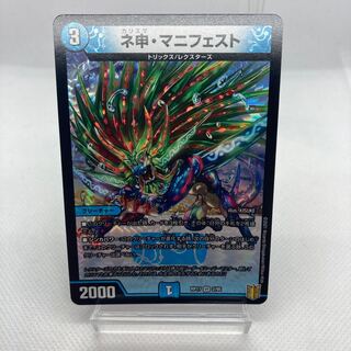 専用 ネ申・マニフェスト