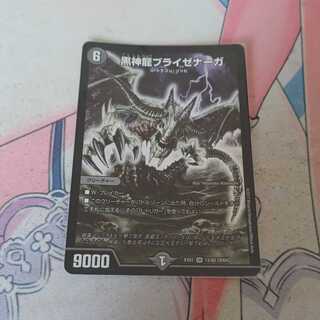 黒神龍ブライゼナーガ