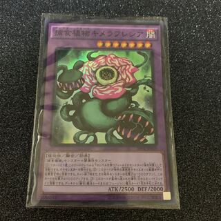 キメラフレシア　スーパー