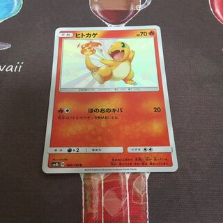 satokuni様専用　ヒトカゲ S