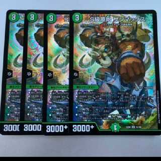 サンマックス４枚