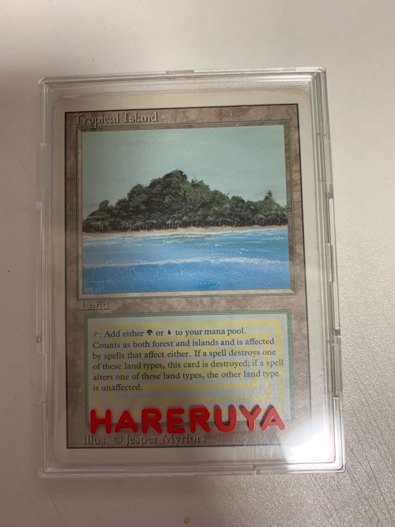 バーグさん専用