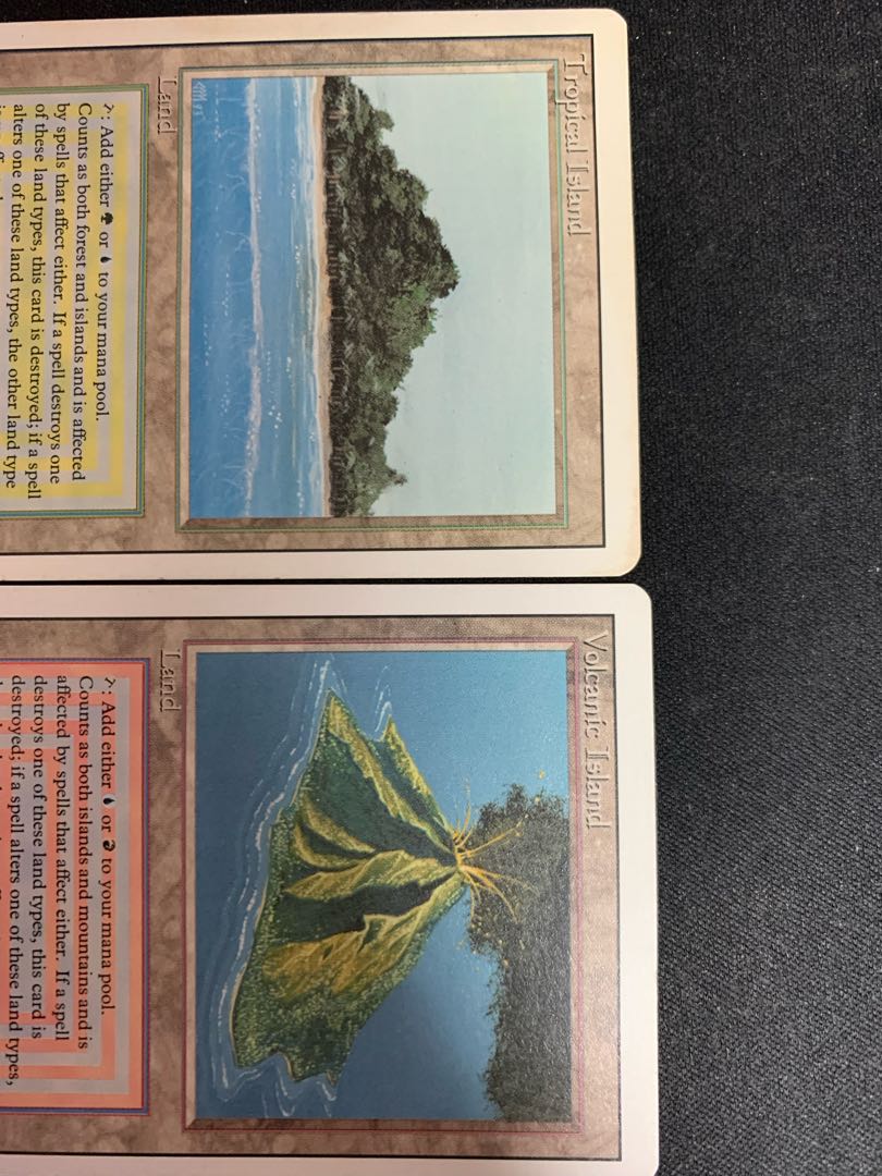 バーグさん専用