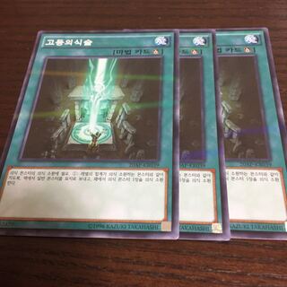 高等儀式術 パラレル ノーマル韓国