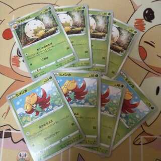 ヒメンカとワタシラガのセット