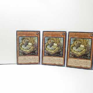 天威龍－アーダラ 3枚セット 遊戯王 無言可 レア ノーマル