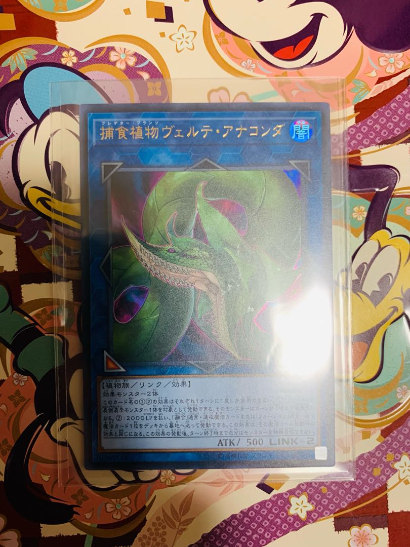 捕食植物ヴェルテ・アナコンダ ウルトラレア