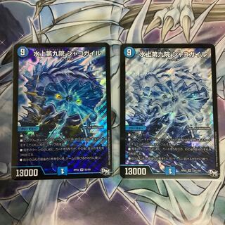 水上第九院 シャコガイル