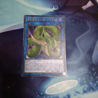 【遊戯王】捕食植物ヴェルテ・アナコンダ UR