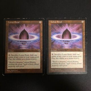 水蓮の花びら コモン　英語　2枚