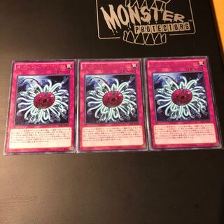 バージェストマ・ディノミスクス 字レア3枚