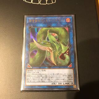 捕食植物ヴェルテ・アナコンダ