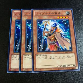 アマゾネスの賢者 ノーマル