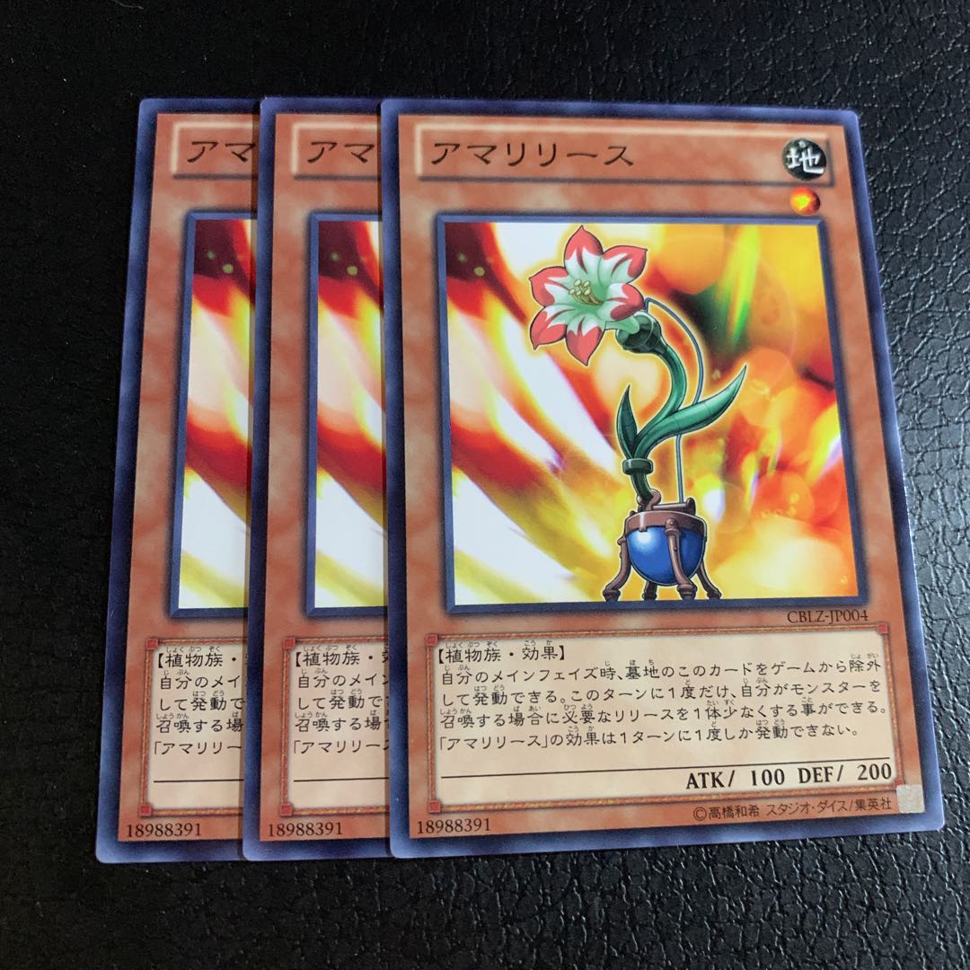 アマリリース ノーマル