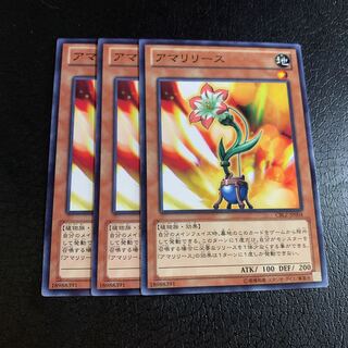 アマリリース ノーマル