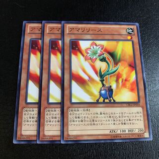 アマリリース ノーマル