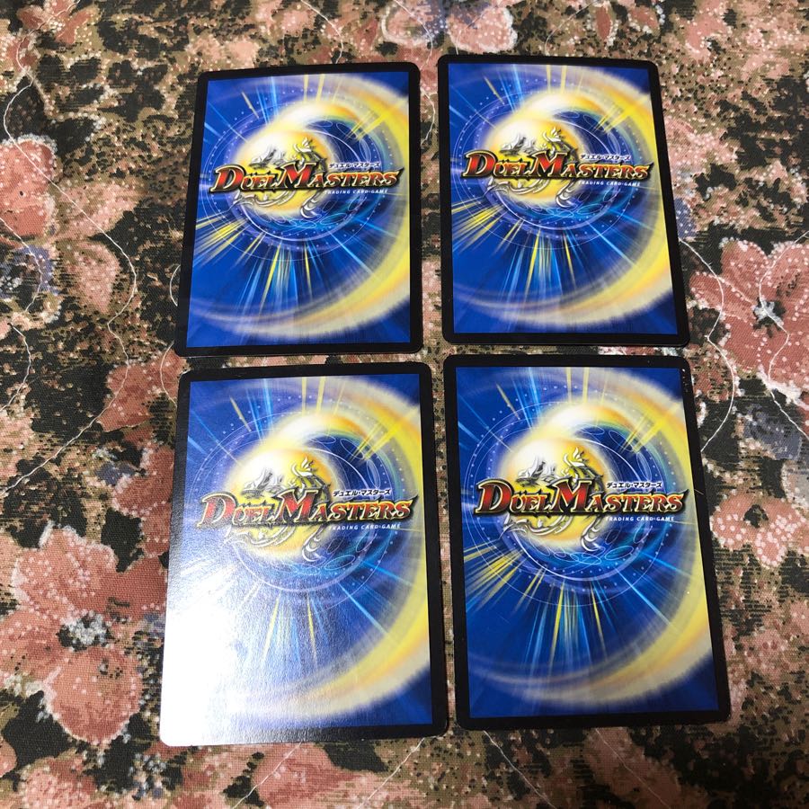 蒼龍の大地 4枚