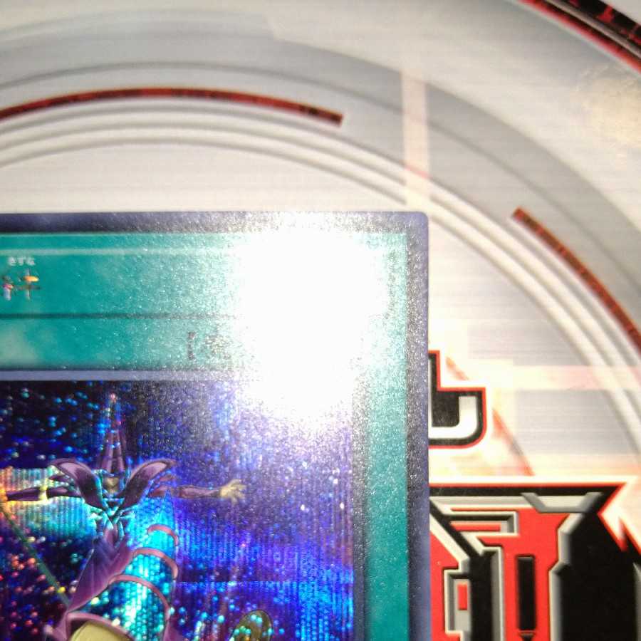 師弟の絆 シークレットレア