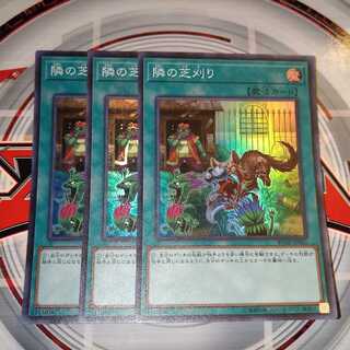 隣の芝刈り スーパーレア