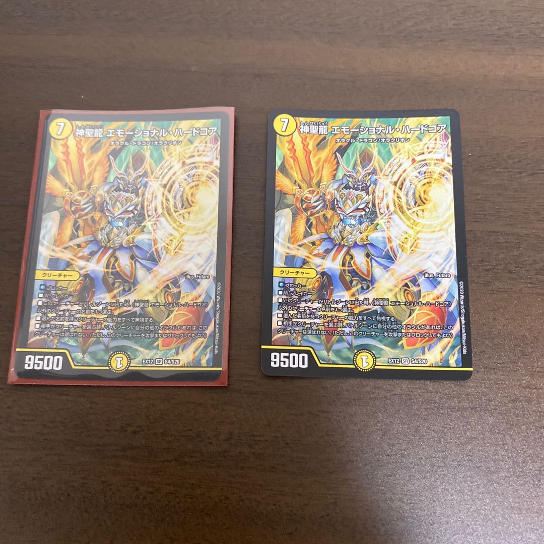 神聖龍 エモーショナル・ハードコア SR