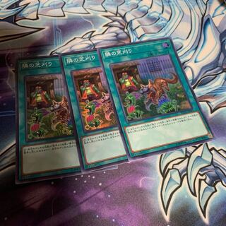 隣の芝刈り スーパーレア